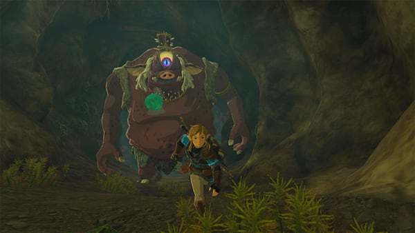 The Legend of Zelda: Tears of the Kingdom Collector's